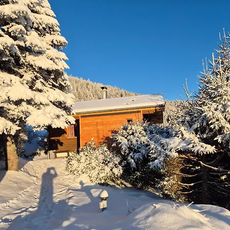 Chalet Les Jonquilles-3