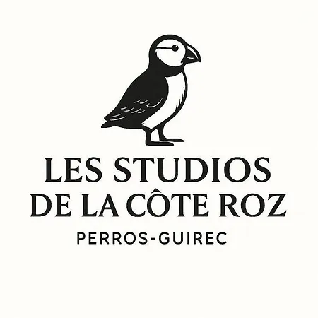 Les Studios de la Côte Roz - Vue Mer - Ecume-3