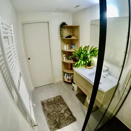 Charming&cosy rooms Nantes (chambres chez l'habitant)-2
