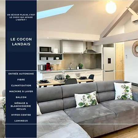 Le Cocon Landais - Clim - Balcon - Central - Spacieux - Lumineux-2