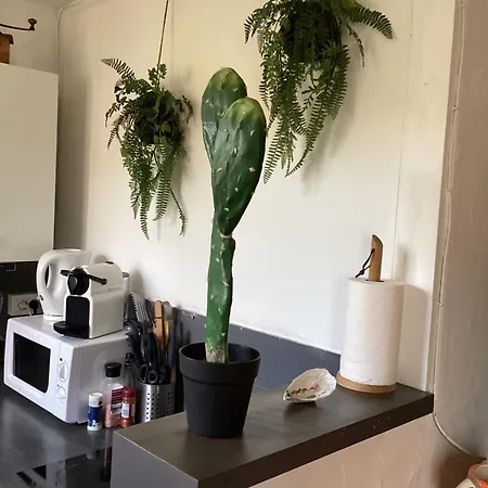 Studio avec grande terrasse et jardin privatif au Pyla-3