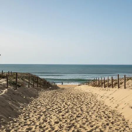 Appartement pour 3 à Mimizan Plage, à 50m de l'océan avec terrasse et parking, ménage inclus - FR-1-50-123-2