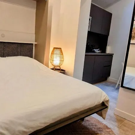 Appartement Premium dans une belle demeure - Hyper centre-ville de Reims-2