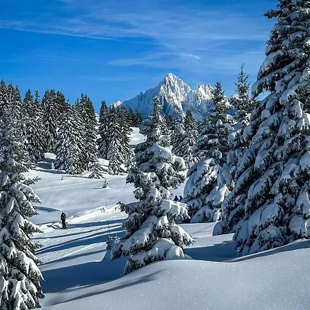 B&B Chalet Les Frenes-2