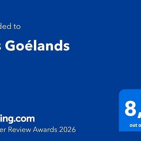 Les Goélands-2