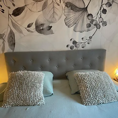 VerOliv Appartement calme et cosy proche du centre ville - Lit 180 - Wifi Netflix Youtube-3