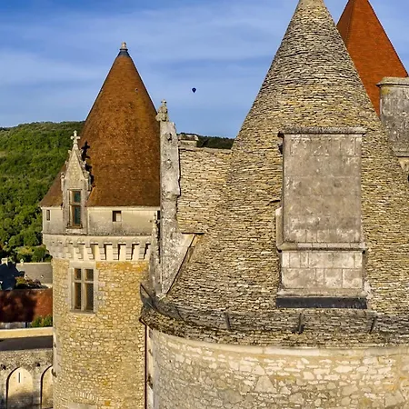 GITE urbain Logis du puy ST FRONTPERIGUEUX-2