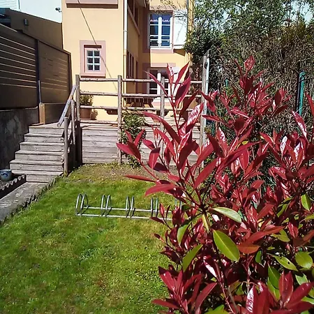 L'OASIS maisonnette centre ville 3 chambres terrasse espace vert privé parc sainte croix center parc 20 minutes-2