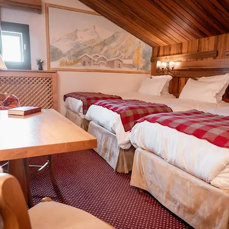 Hôtel Alpen Ruitor-2