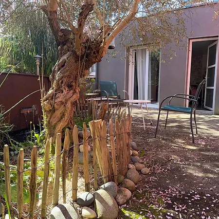 Rez de Jardin Terrasse Literie Haut de gamme Proche Gare et Hyper Centre-3