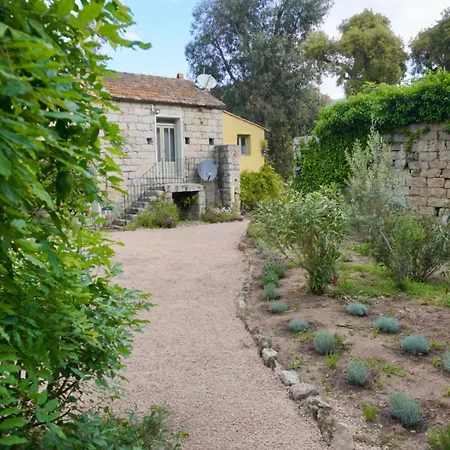 Chambres d'Hôtes Barraconu-2