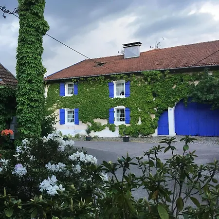 Gîte et Roulotte dans les Vosges-3