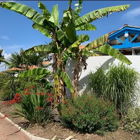 Maison de vacances - mer et forêt-2