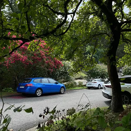 Apartamentos Pillotegi Parking Gratuito-3