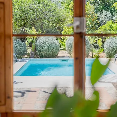 Villa Palma - Establiments By Priorityvillas-3