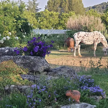 La petite Galéjade-3