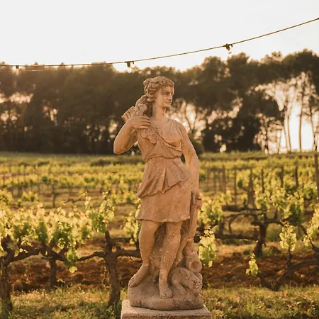 Domaine Rabiega - Vineyard&Boutique hotel-2