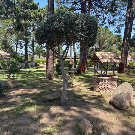 Kilina-3