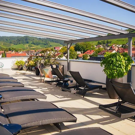 Hotel Ritter Durbach-2