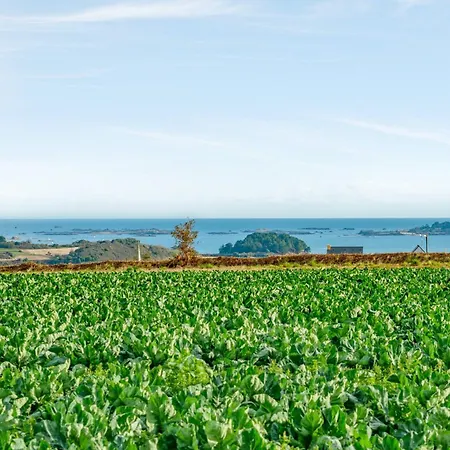 Maison charmante avec vue sur la mer à Paimpol-3