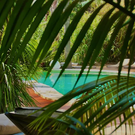 Cannes Villa St Barth-2