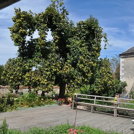 Le Cep en Sancerrois-3