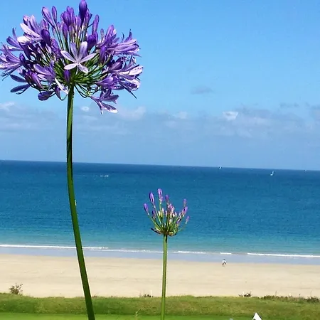 Panorama Newport-2