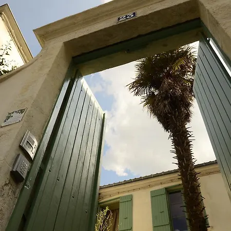 La Maison du Palmier-3