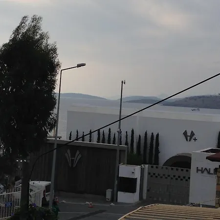 Pasha Motel-2