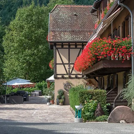 Domaine Le Moulin-3