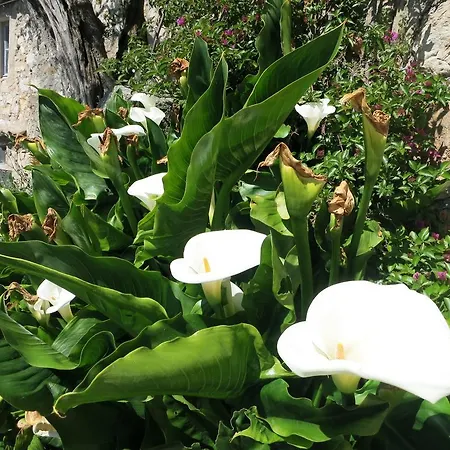 Hotel Mandarina Grasse-3