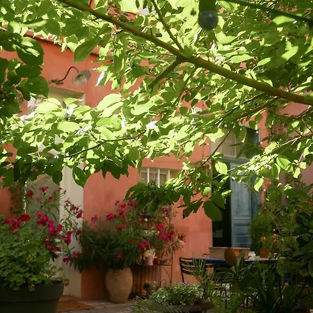 Jardin Vieux Port Panier-2