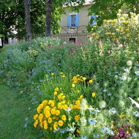 Domaine Les Rivales-2