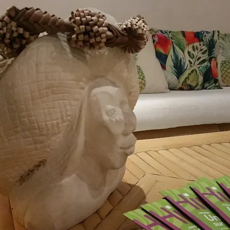Fare Suisse Tahiti - Guesthouse-2