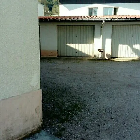 studio des écureuil-3