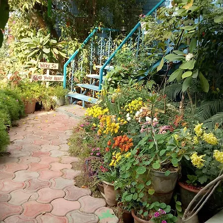 The Coral Tree Boutique Homestay-3