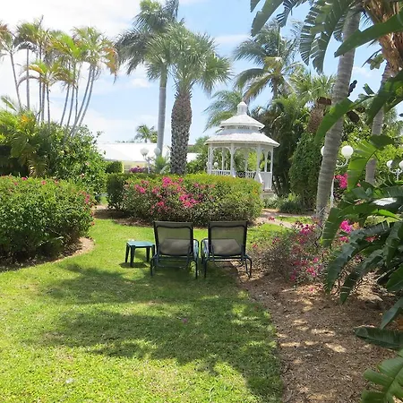 Lemon Tree Inn-2