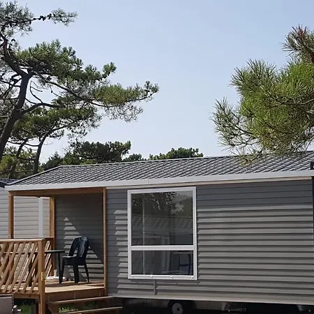 Camping Paradis Les Galets de la Molliere-3