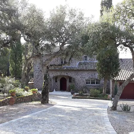 B&B La Palatine-2