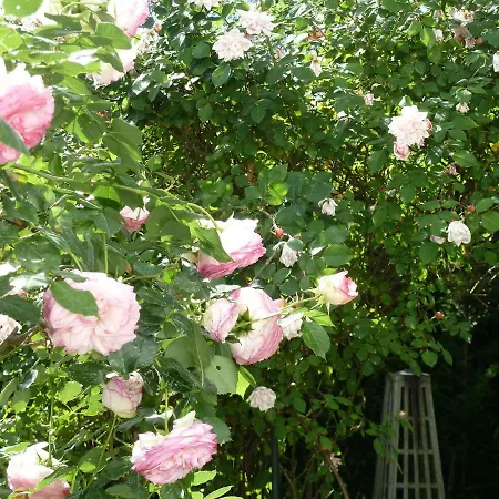 Le Clos des Princes-2