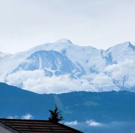 Appartement au pied du Mont-Blanc !-2