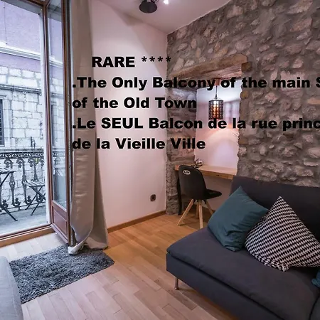 Le Balcon de la Vieille Ville Annecy-3