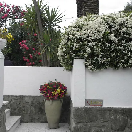 Villa Ingrid-3