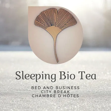 Sleeping Bio Tea-2