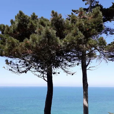 Granville Plage Plat Gousset-2