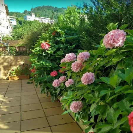 Ondarreta Beach & Terrace-2