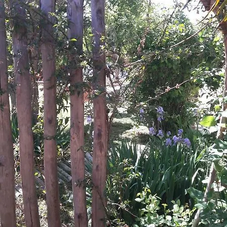 Studio dans jardin-2