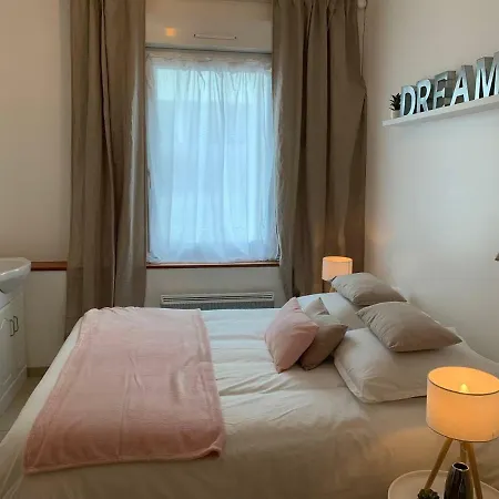 CHARMANT T2 PROCHE CENTRE VILLE PLAGE JARDIN DIOR 50 m2-3