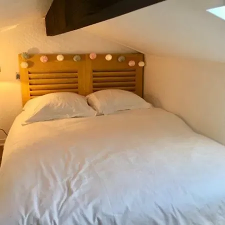 Maison A L'Amelie Plage, 300 Metres De La Plage/Mer-3