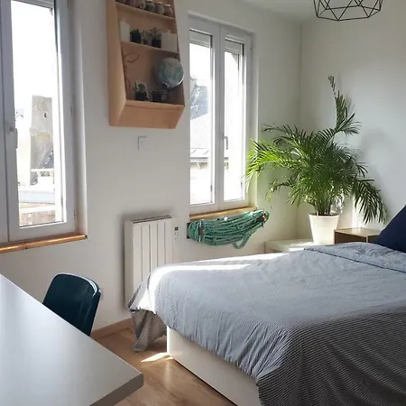 Appartement dernier étage Hyper Centre-3